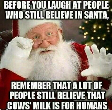 Merry Christmas Memes Quotes