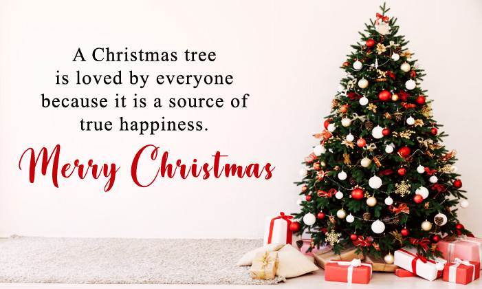 Christmas Tree Quotes 2022