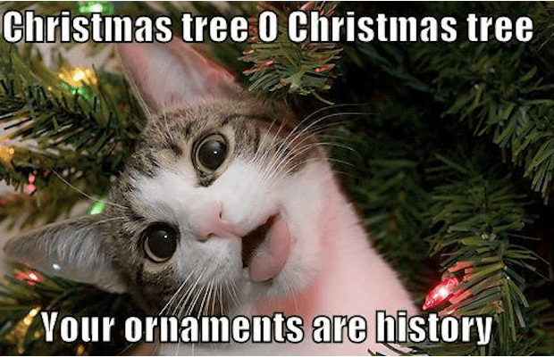Funny Merry Christmas Memes
